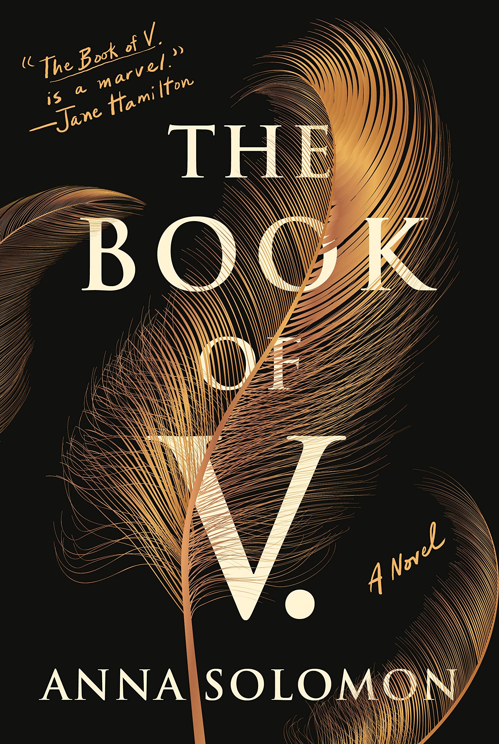 Cover of The Book of V by Anna Solomon