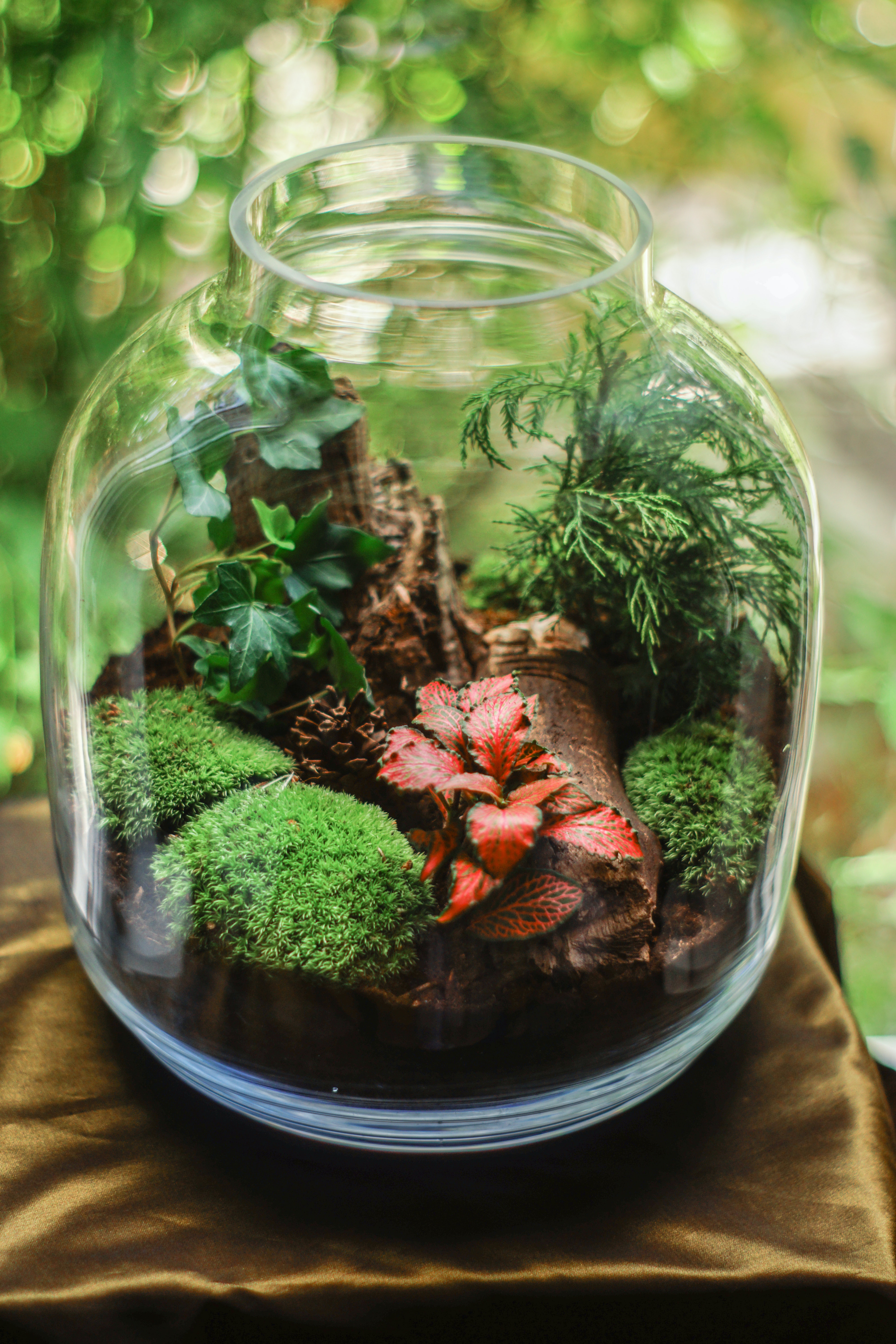 Clear Glass Terrarium with red and green plants on a brown silk cloth with a forest in the background.