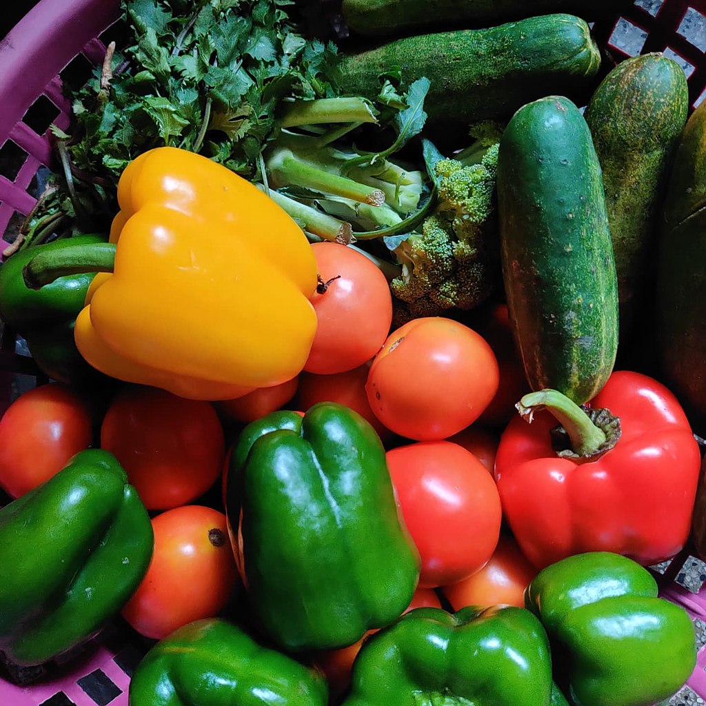 Green and yellow peppers, and tomatoes