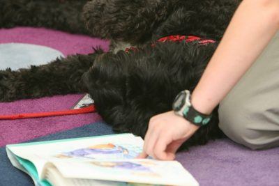 dog on blanket next to child with books