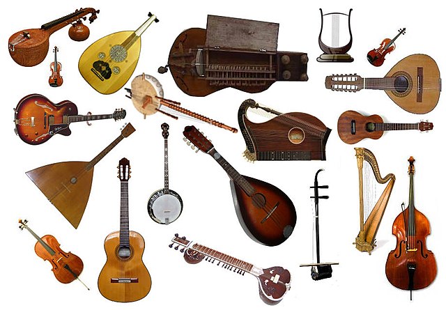 An assortment of string instruments