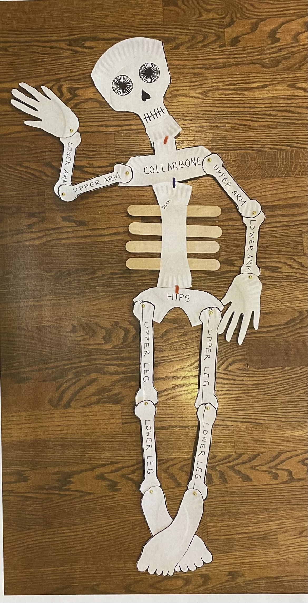 Skeleton made from paper plates, craft sticks and pipe cleaners
