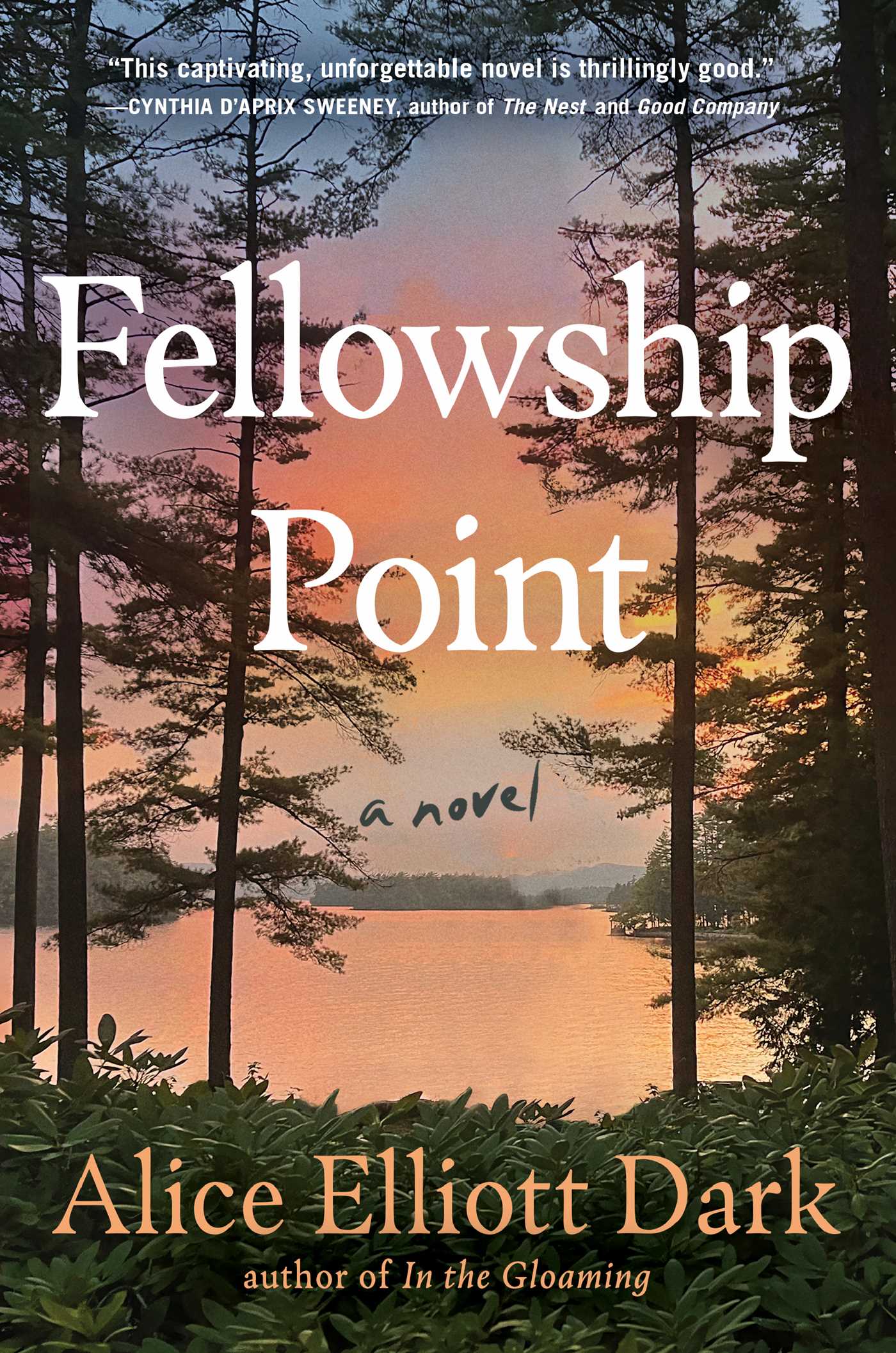 Cover of Fellowship Point by Alice Elliott Dark