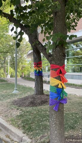 trees wrapped in red, orange, yellow, green, blue and purple ribbons