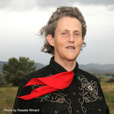 Photo of Temple Grandin, credit Rosalie Winard