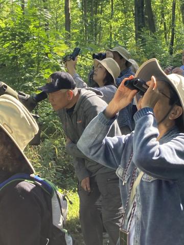 Bird watching at Daniel Wright Forest Preserve