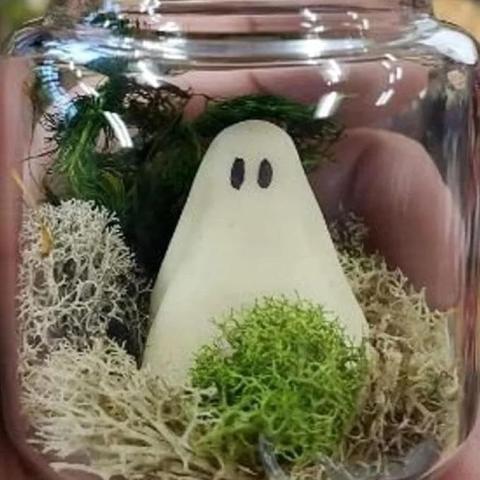 spooky terrarium