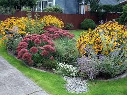 Rain garden