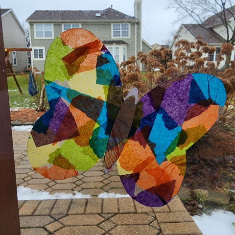 Tissue paper overlays a butterfly outline on a window, while sunlight shines through