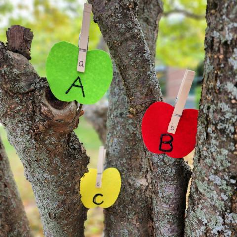 Three felt apples are positioned in a tree with clothespins on each apple.