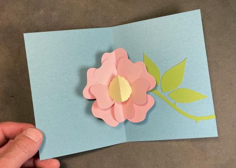 Pink pop-up paper flower inside blue card