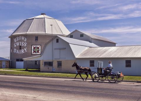 A horse/buggy in Shipshewana, Indiana
