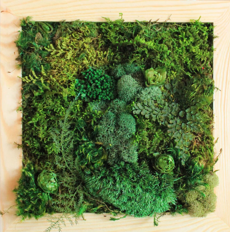 moss wall art