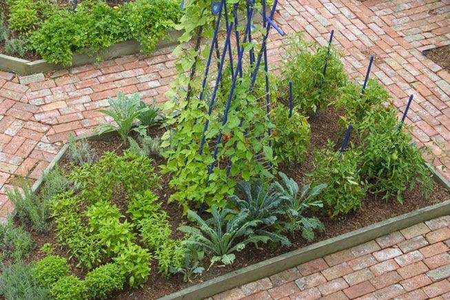 Kitchen garden