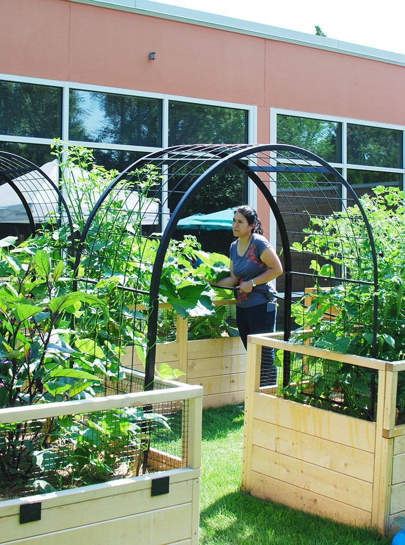 A woman waters a raised-bed vegetable garden with a hose