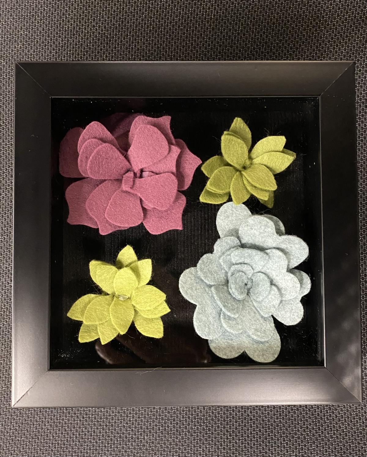 a group of four succulents in a frame