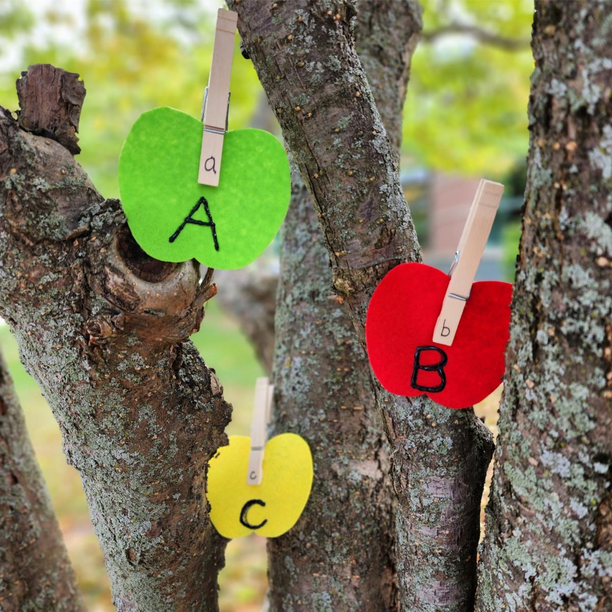 Three felt apples are positioned in a tree with clothespins on each apple.